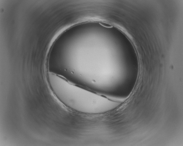 X0000078891056200611131225