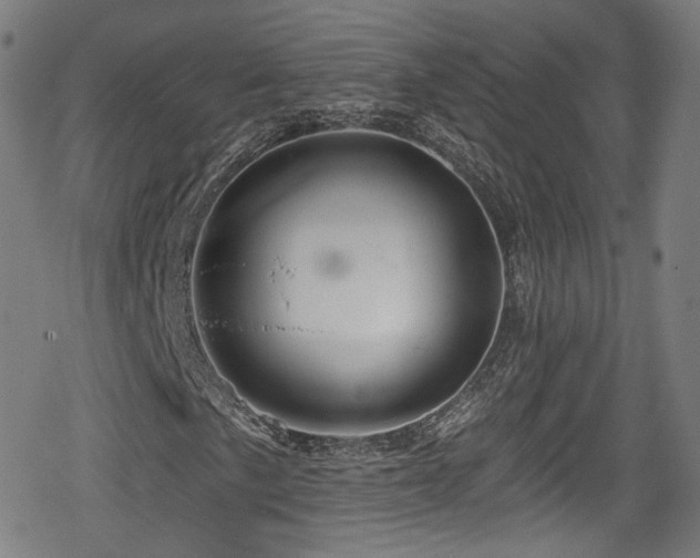 X0000078891057200611131224