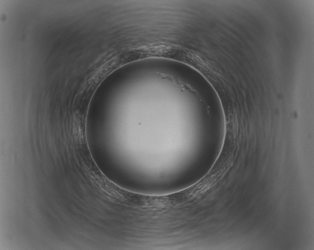 X0000078891058200611131224