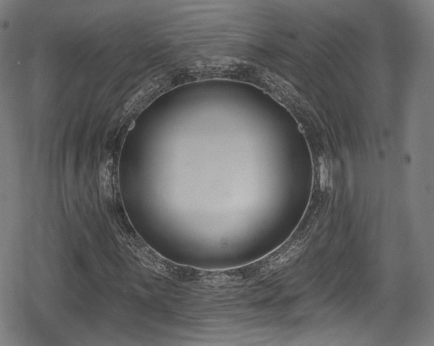 X0000078891059200611131224