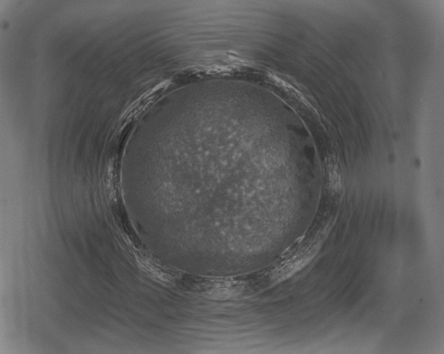 X0000078891060200611131224