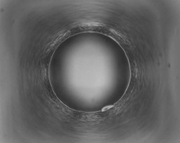 X0000078891061200611131224