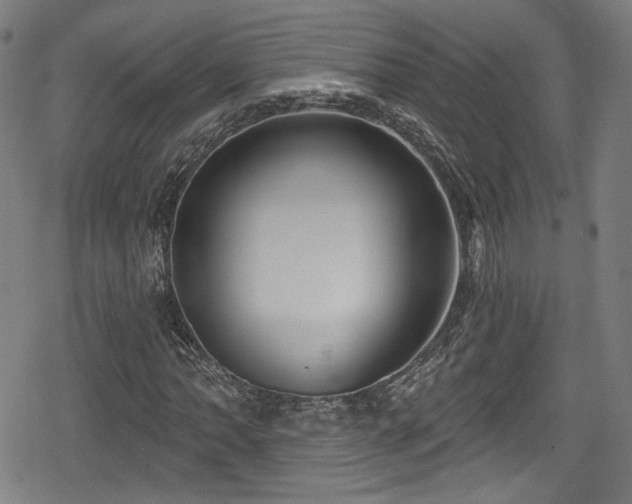 X0000078891062200611131224