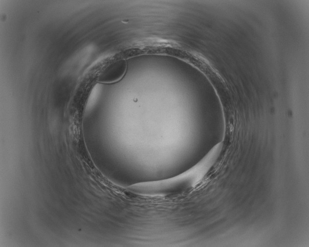 X0000078891063200611131224