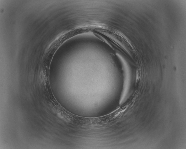 X0000078891064200611131224