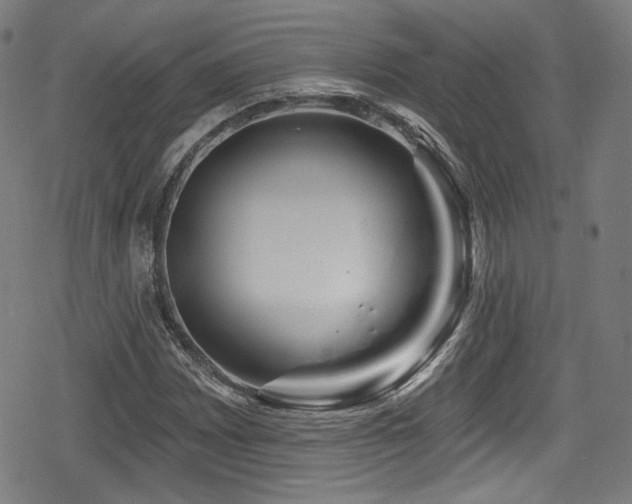 X0000078891065200611131224