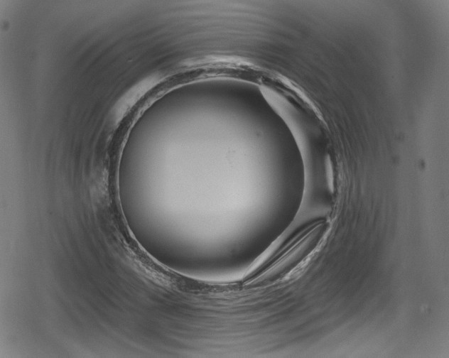 X0000078891066200611131224