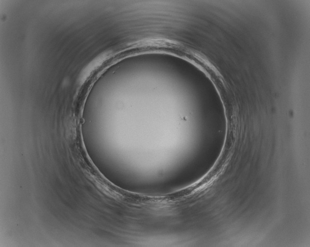 X0000078891067200611131224