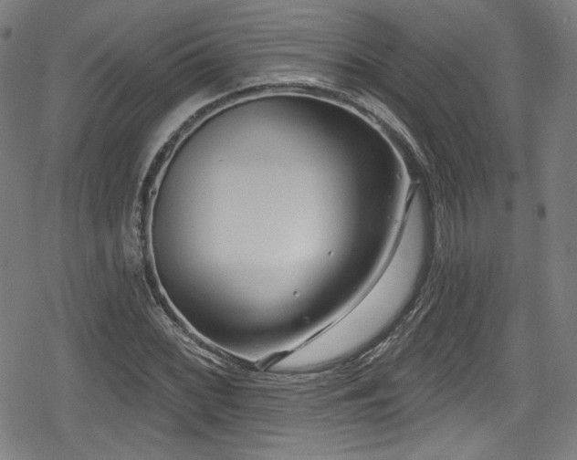 X0000078891068200611131224