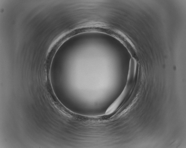 X0000078891069200611131224