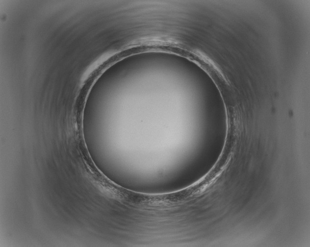 X0000078891070200611131224