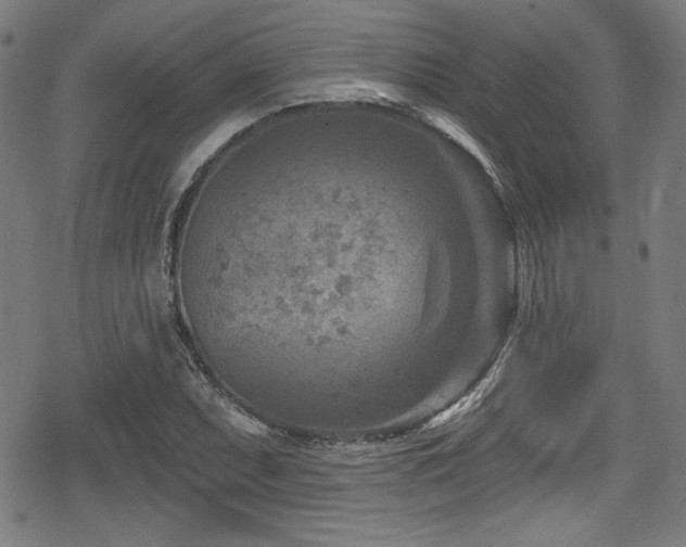 X0000078891071200611131224