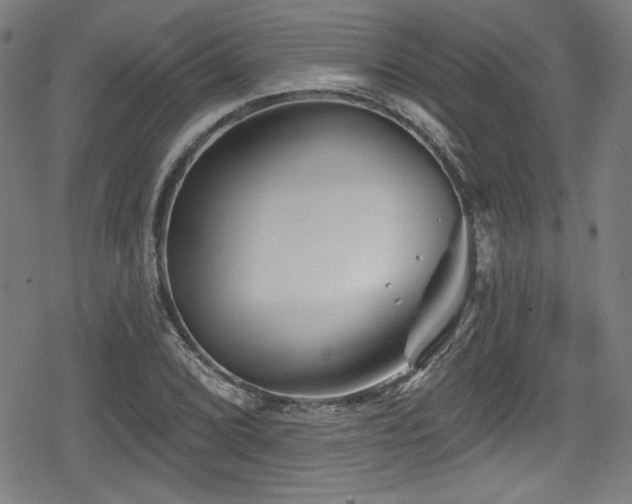 X0000078891072200611131224