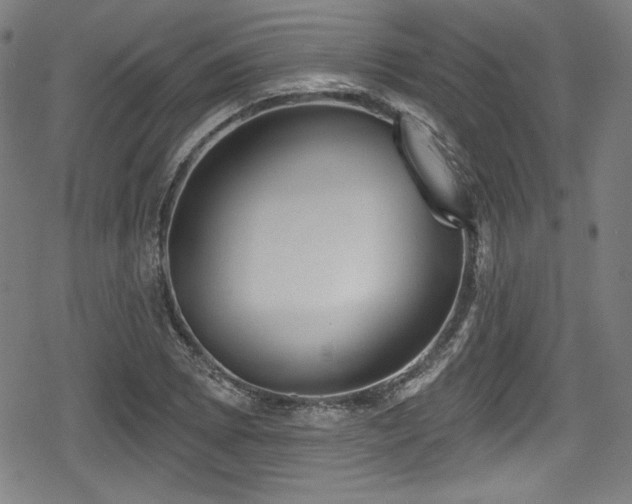 X0000078891073200611131224