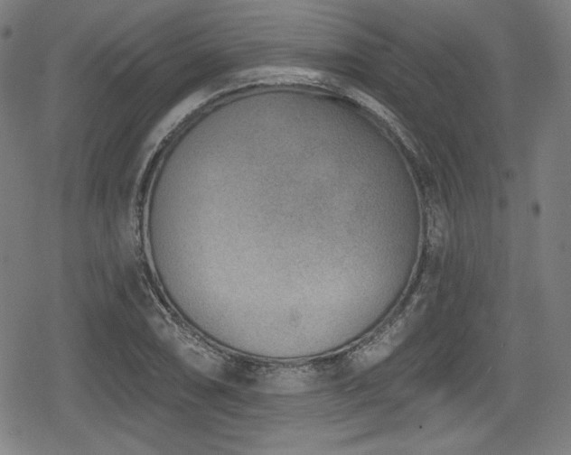 X0000078891074200611131224