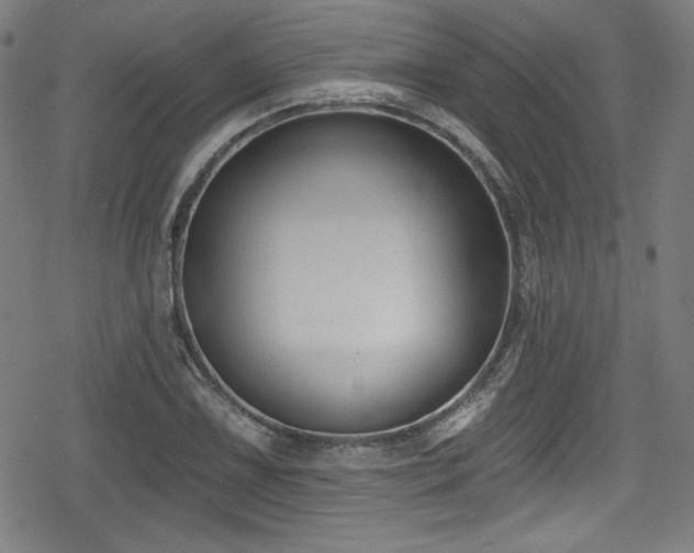 X0000078891075200611131224