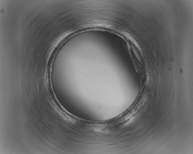 X0000078891076200611131224