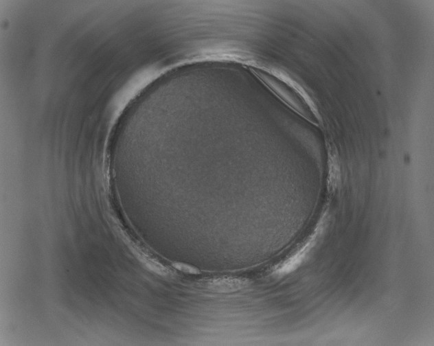 X0000078891077200611131224