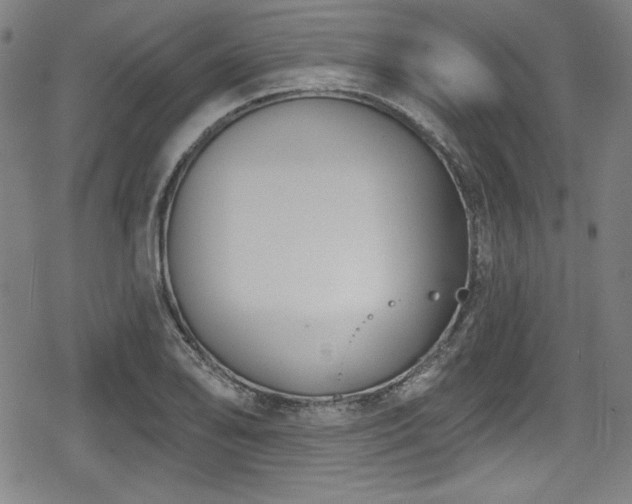 X0000078891078200611131224