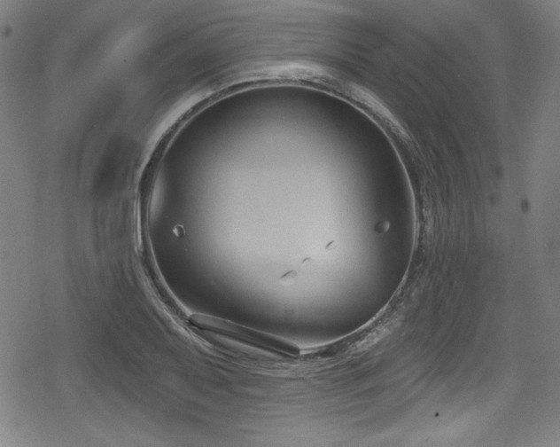 X0000078891079200611131224