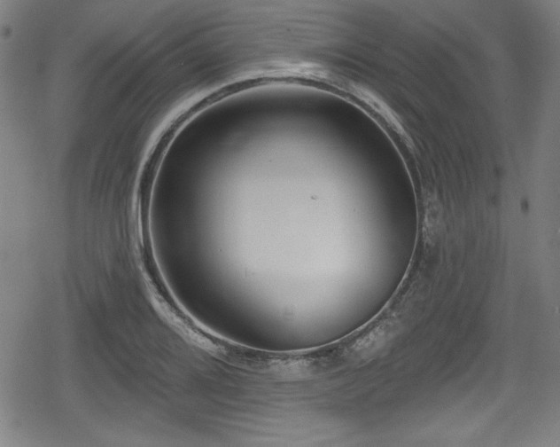 X0000078891080200611131224