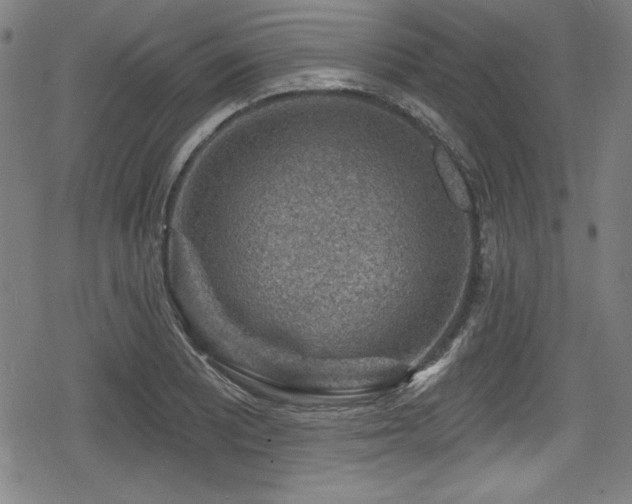 X0000078891081200611131224