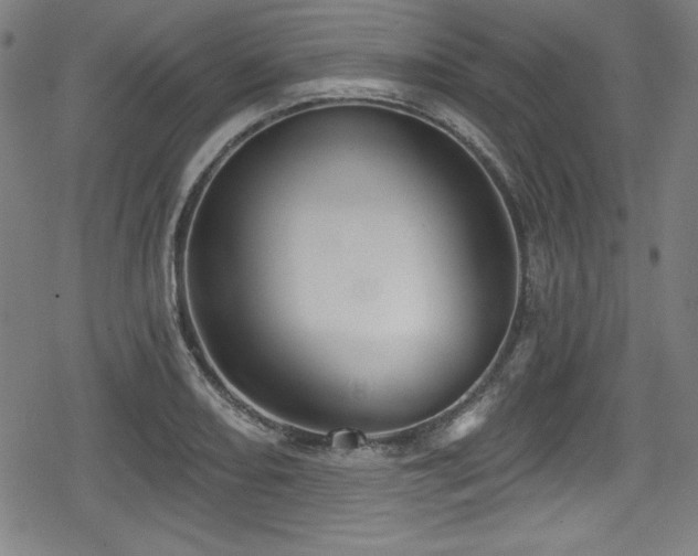 X0000078891082200611131224