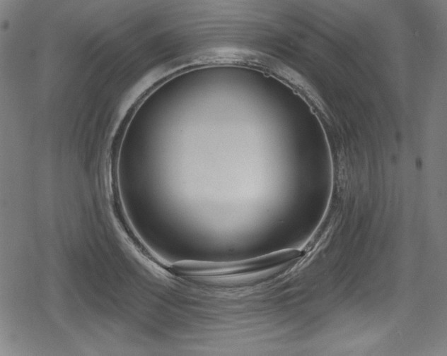 X0000078891083200611131224