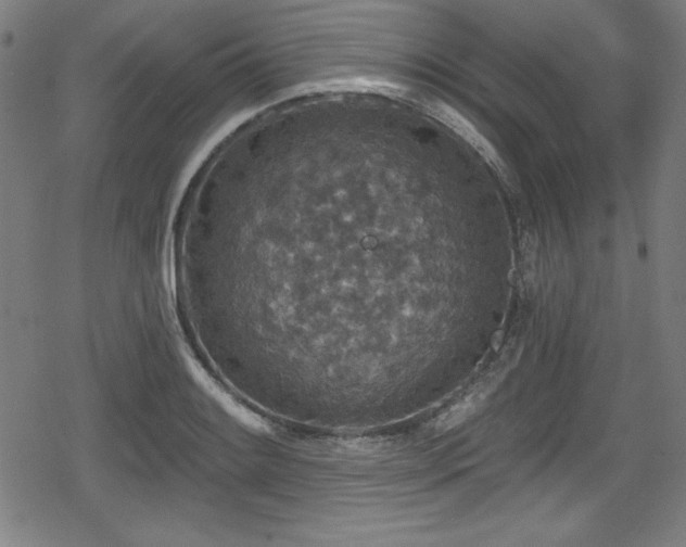 X0000078891084200611131224