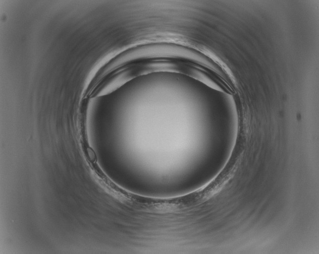 X0000078891085200611131224