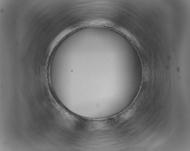 X0000078891086200611131224