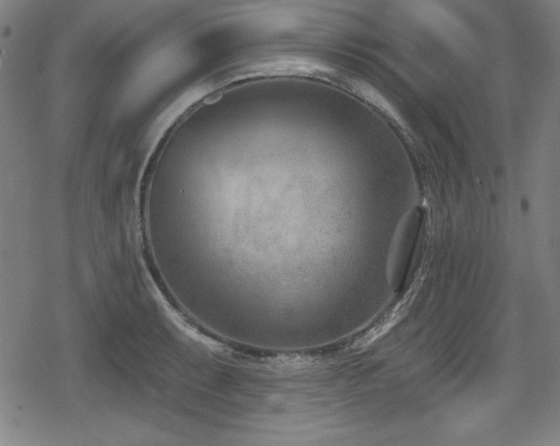 X0000078891087200611131224