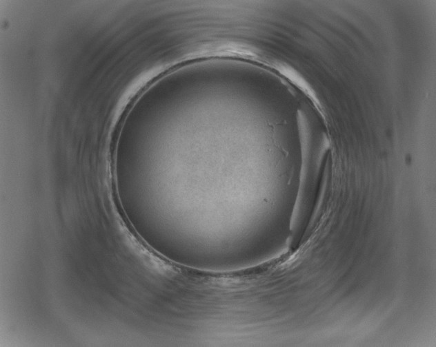 X0000078891088200611131224