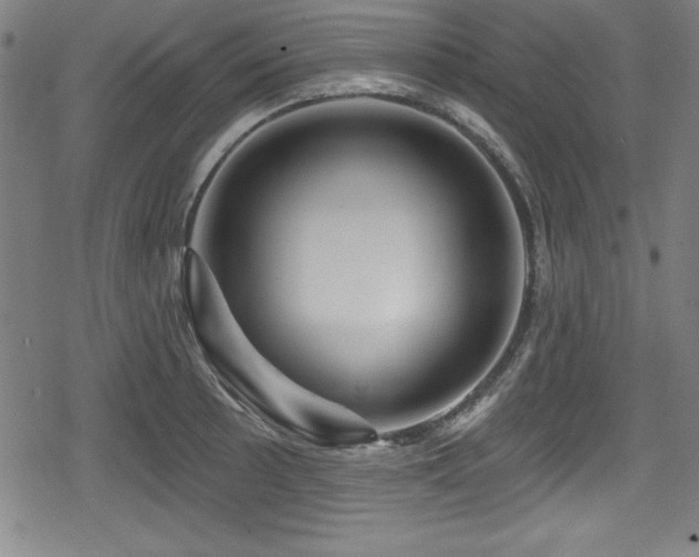 X0000078891089200611131224