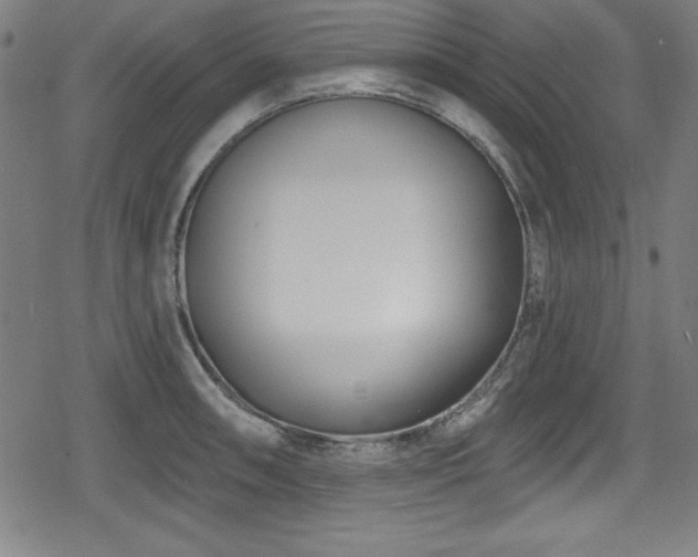 X0000078891090200611131224