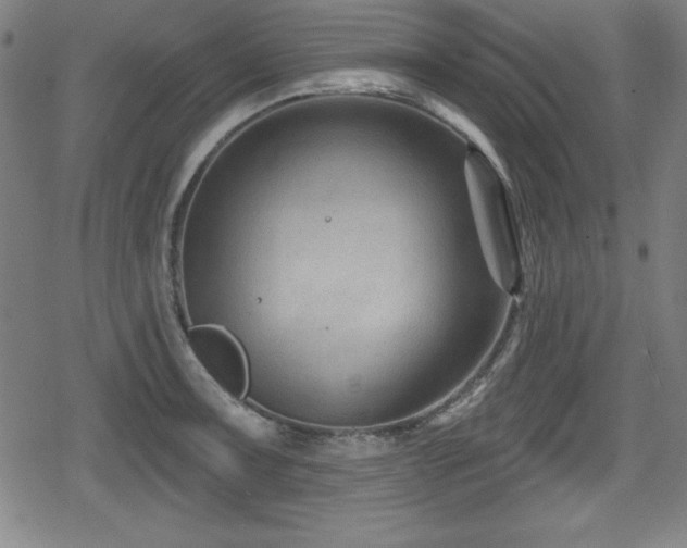 X0000078891091200611131224