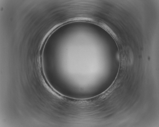 X0000078891092200611131224