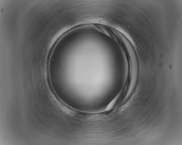 X0000078891093200611131224