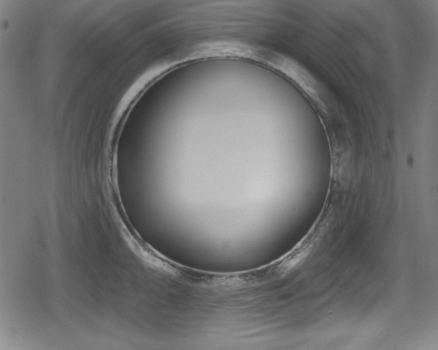 X0000078891094200611131224