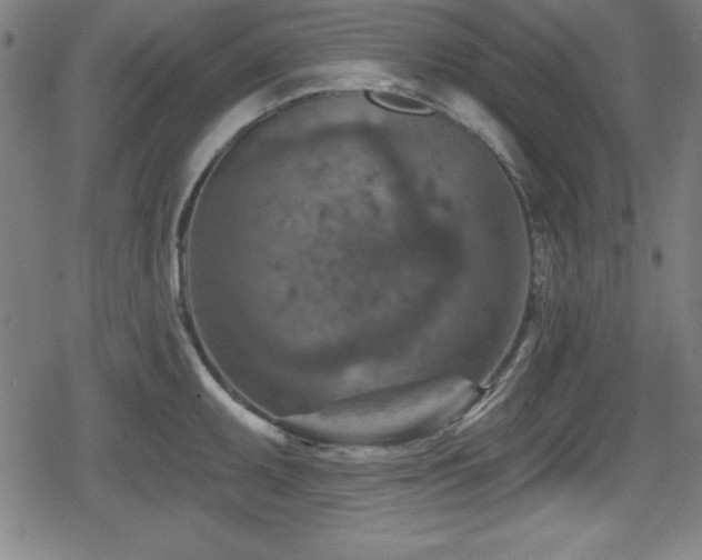 X0000078891095200611131224