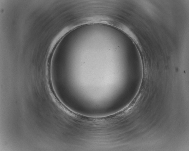 X0000078891096200611131224