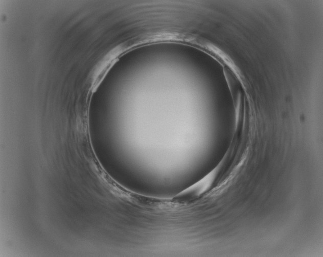 X0000078891097200611131224