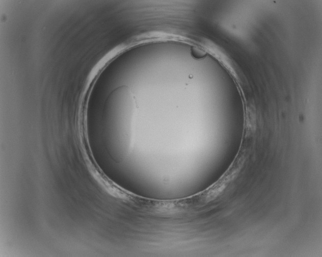 X0000078891098200611131224