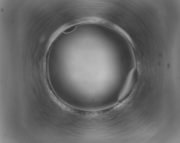 X0000078891099200611131224