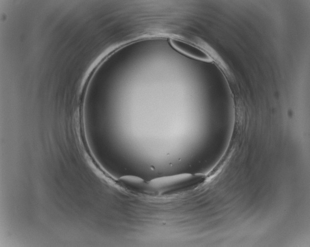 X0000078891100200611131223