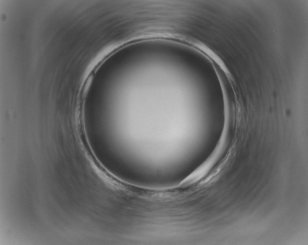 X0000078891101200611131223