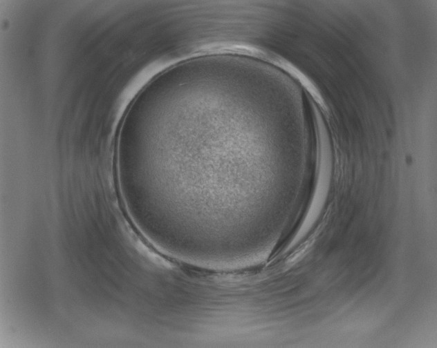 X0000078891102200611131223