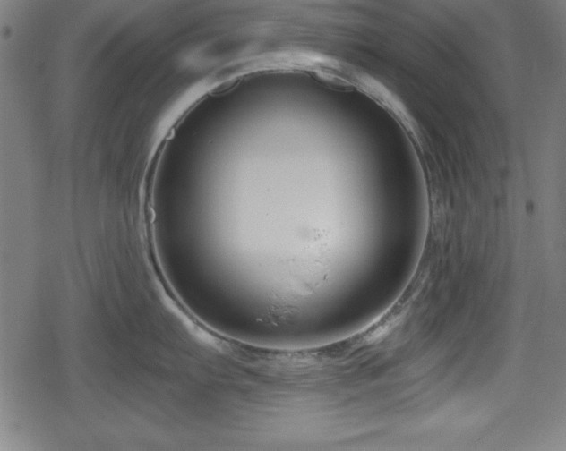 X0000078891103200611131223