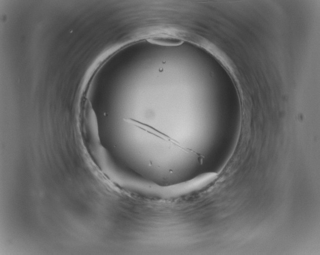 X0000078891104200611131223