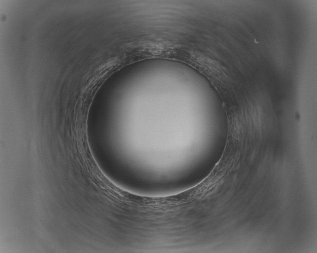 X0000078891105200611131223